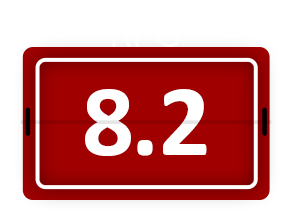 Average Number of Rebounds Per Game: 8.2