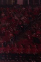 Kohl Center Watch Party