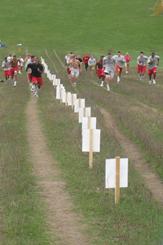 The Hill
