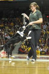 Photo of halftime