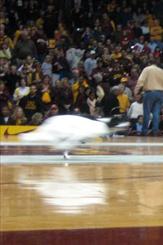 Photo of halftime