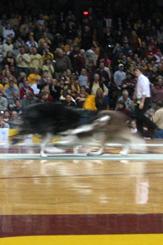 Photo of halftime