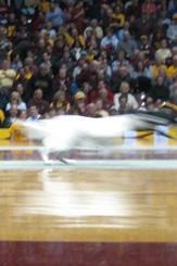 Photo of halftime
